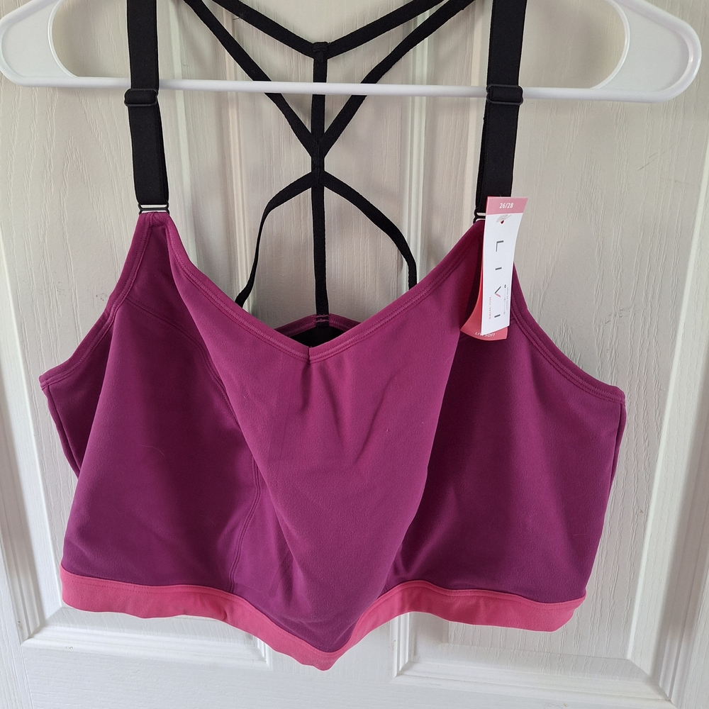 Livi Active Purple and Pink Sports Bra